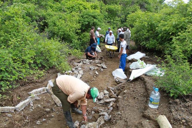 Trabajadores repara senderos en la Isla de la Plata